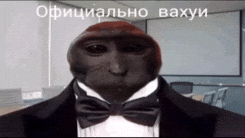 Monkey Wtf GIF
