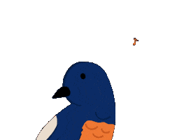 Singing Bird Sticker by Love Your Pet Indonesia