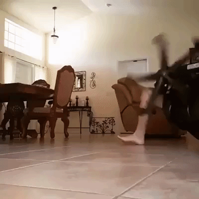 Rolling Chair Gifs Get The Best Gif On Giphy