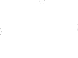 Animation Sticker