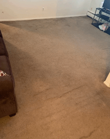 Summit Carpet Floor Care GIF