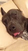 200.gif?cid=f0bdee701mgvy1z3u79nwwgn27a2ahx210e3a19p919bfe3r&rid=200.gif&ct=g