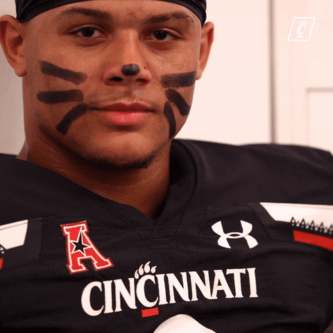 College Football Cat GIF by Cincinnati Bearcats