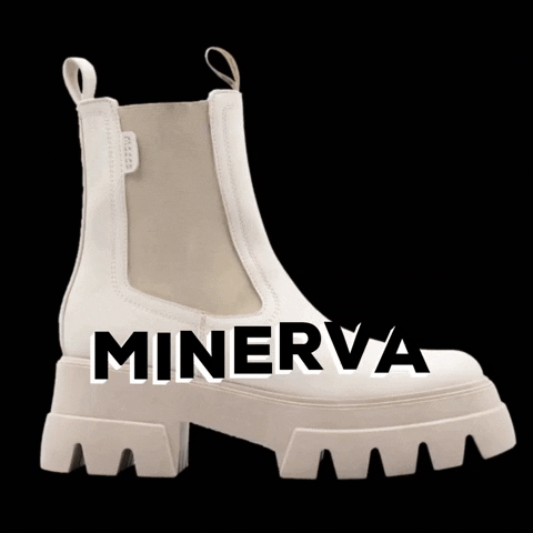 Mosca Mx GIF