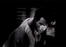 robert taylor GIF by Maudit