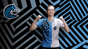Fists Win GIF by BS+COMPETITION