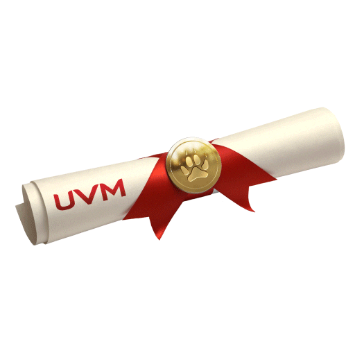 Universidad del Valle de México Sticker