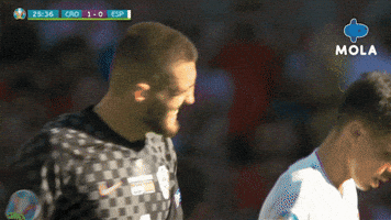Disappointed Euro 2020 GIF by MolaTV