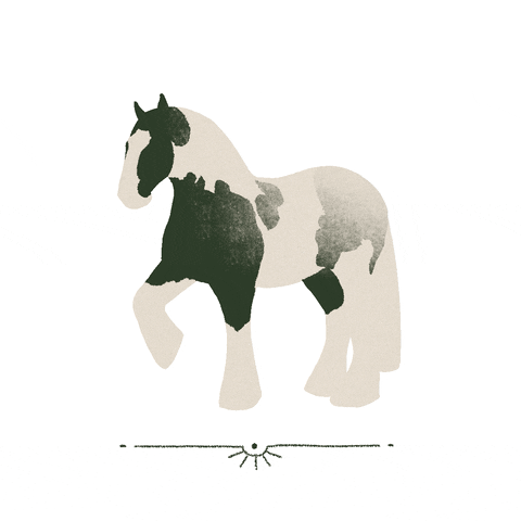 Horse Cheval GIF