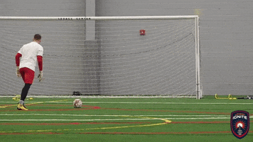 save usl league one GIF by Lansing Ignite FC