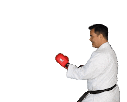 Isshoni Karate Sticker