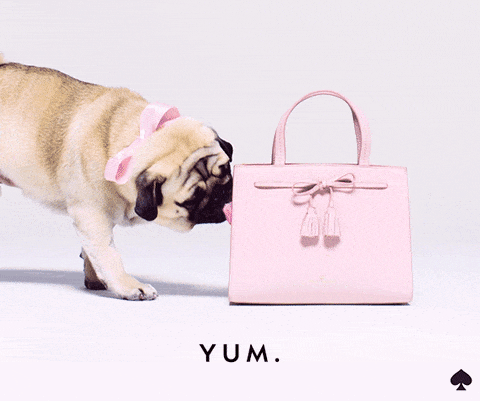 pug purse kate spade