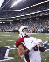 Celebrate James Conner GIF by Arizona Cardinals