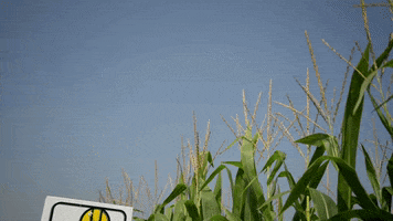 AgReliant Genetics GIF