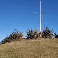 New Zealanders Climb to Higher Ground Following Tsunami Warning
