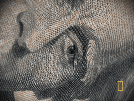 money paper GIF by National Geographic Channel