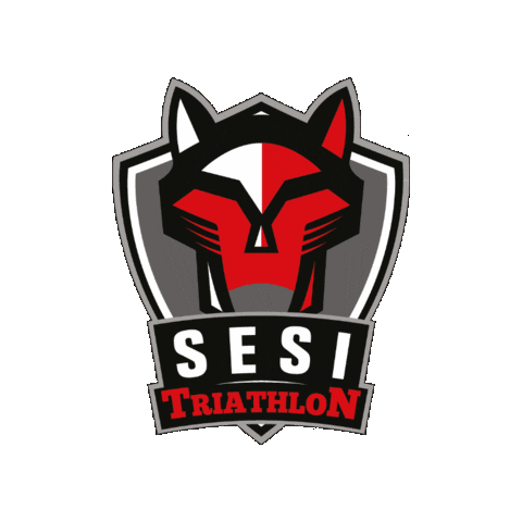 Triathlon Sticker by Sesi Esporte
