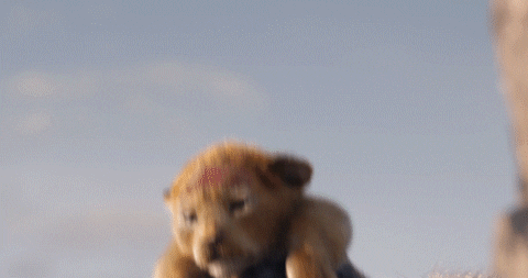 The Lion King GIF by Walt Disney Studios - Find & Share on GIPHY
