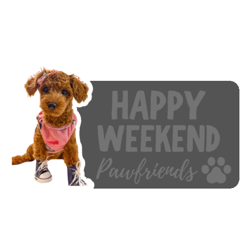 Poodle Sticker by PUPPY PET