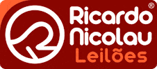 Ricardo Nicolau Leilões GIF