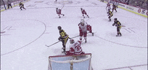 Save Detroit Red Wings GIF