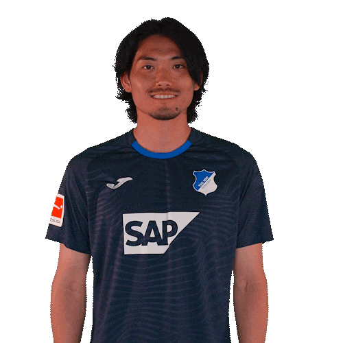 Sport Bundesliga Sticker by TSG Hoffenheim