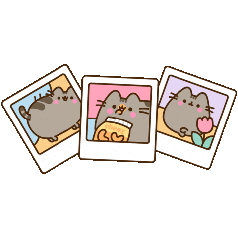 Cat Camera Sticker by Pusheen