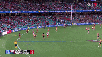 rory atkins afl GIF by Adelaide Crows