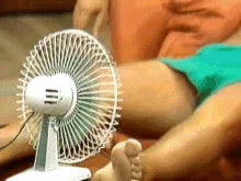 Fan Reaction GIF by MOODMAN