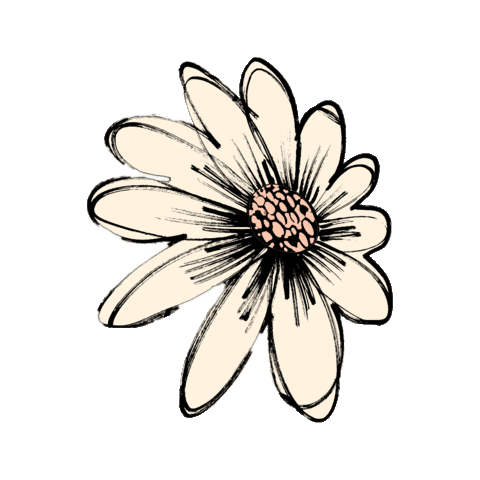 Fabienne Chapot Sticker