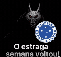 Cruzeiro Esporte Clube Cec GIF