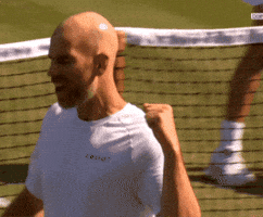 Celebration Tennis GIF
