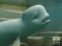 Beluga - Free animated GIF - PicMix