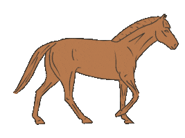 Animated Sticker