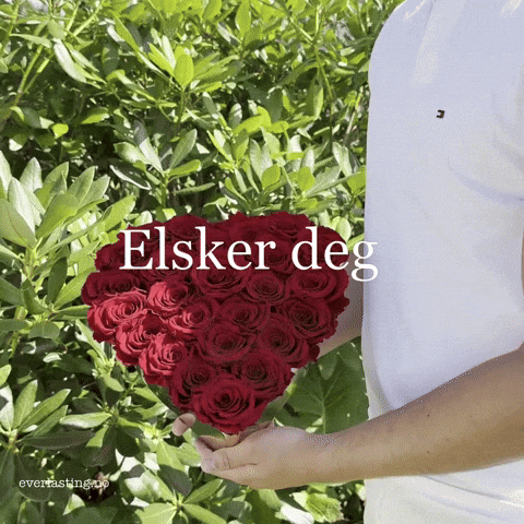 Norge GIF by Everlasting Norway