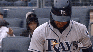 Tampa Bay Rays Sport GIF by MLB