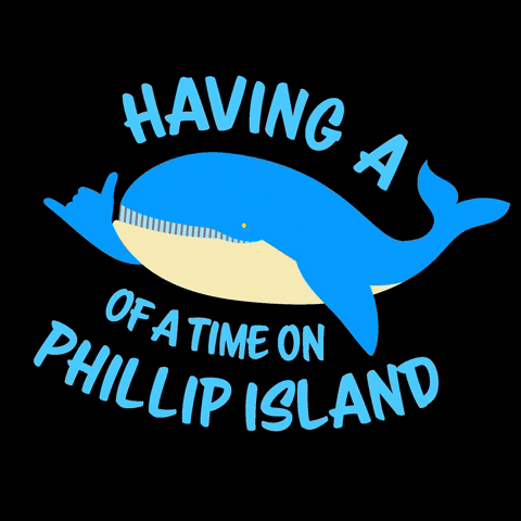 Island Whales GIF by Visit Phillip Island