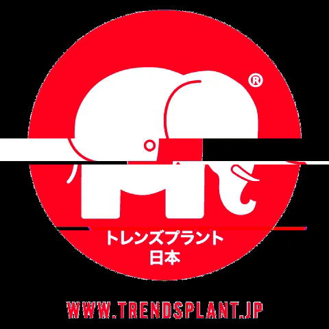 Spain Elephant GIF by Trendsplant Japan