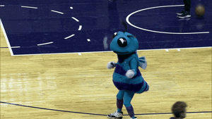 charlotte hornets dance GIF by NBA