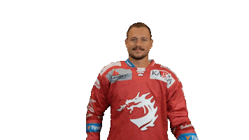 Ice Hockey Win Sticker by HC Oceláři Třinec