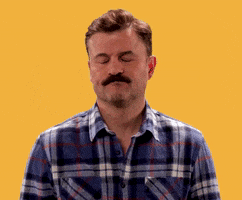 super troopers smh GIF by Fox Searchlight
