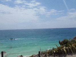 karenzanella  GIF