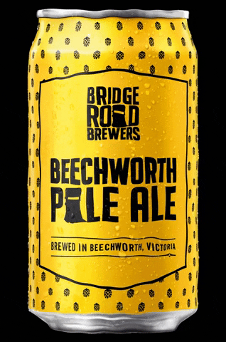 Beer Paleale GIF by Bridge Road Brewers