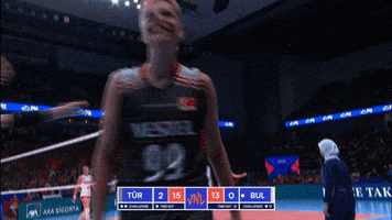 Happy Lets Go GIF by Volleyball World