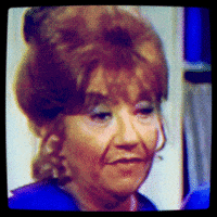 sarcastic the facts of life GIF by absurdnoise