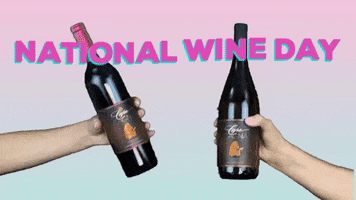 Cheers Drinking Wine GIF by Leah Van Dale