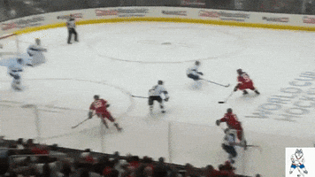 nadezhdamerkulova  GIF