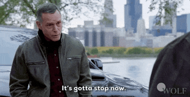 Stop It Dick Wolf GIF by Wolf Entertainment