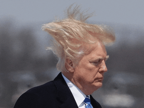 trump GIF - trump GIF