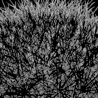 black and white loop GIF by Pi-Slices